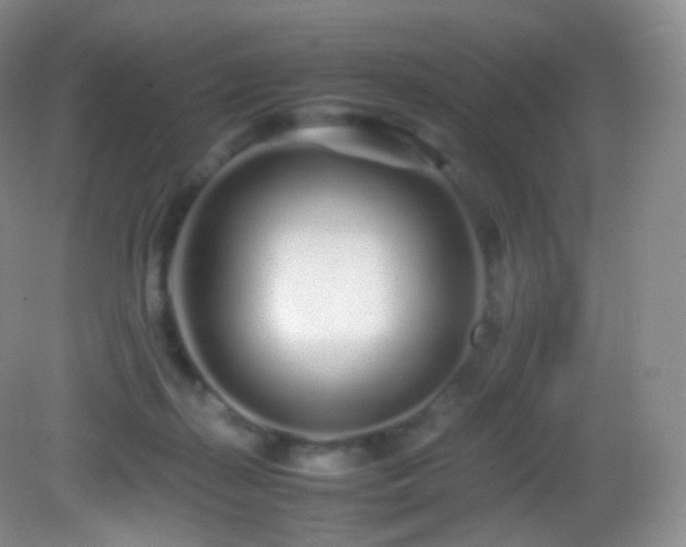 X0000083000267200702011502