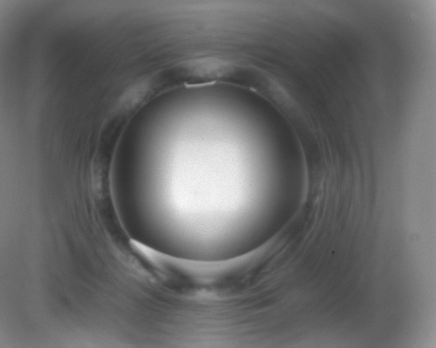 X0000083000268200702011502