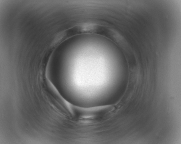 X0000083000269200702011502