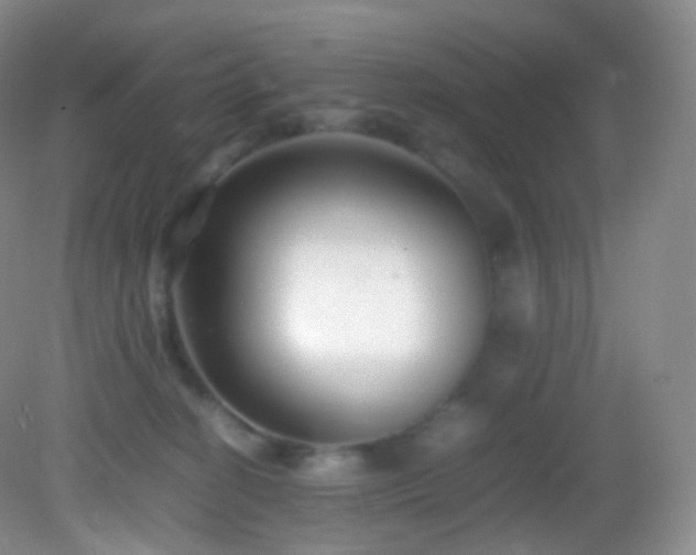 X0000083000274200702011502
