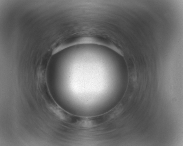 X0000083000276200702011503