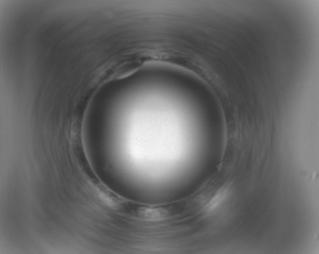 X0000083000277200702011503