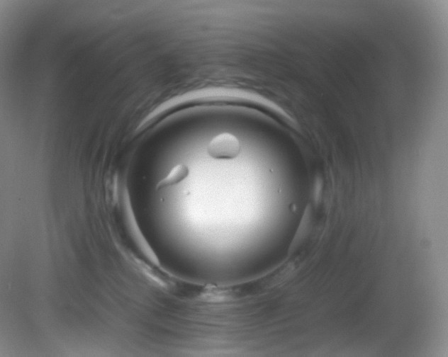X0000083000280200702011503