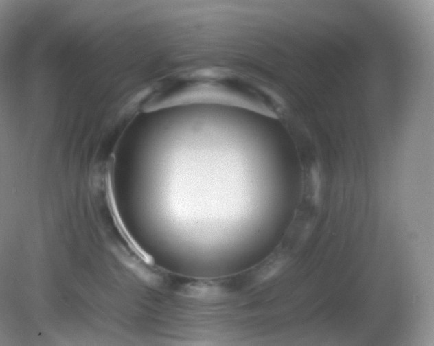 X0000083000284200702011503