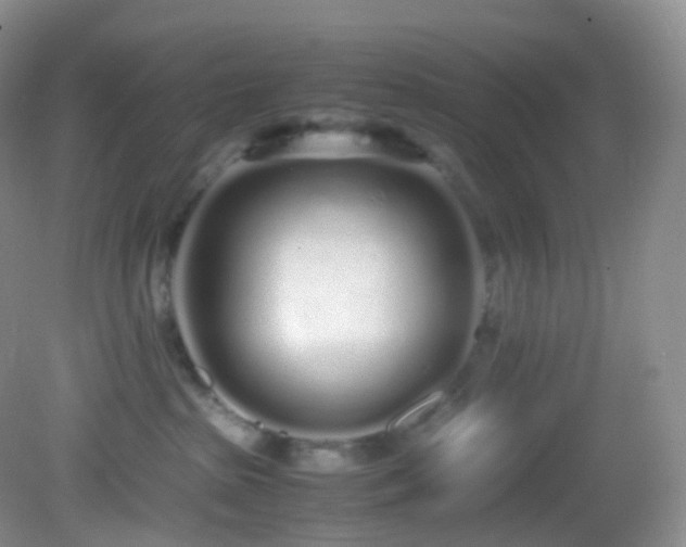 X0000083000285200702011503