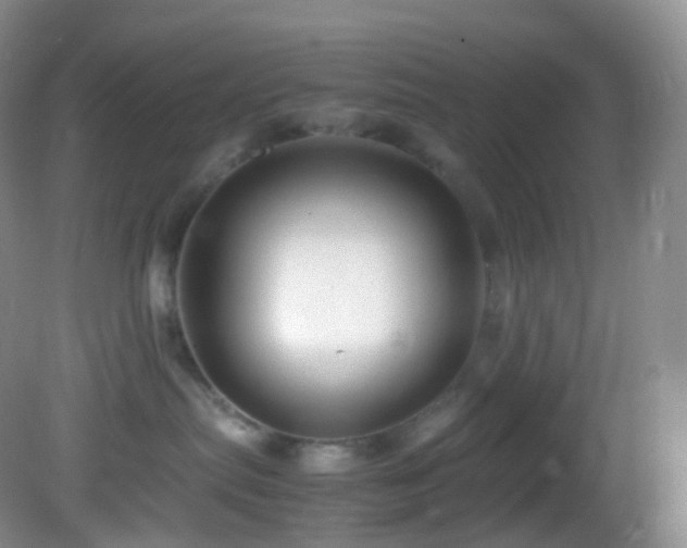 X0000083000287200702011503