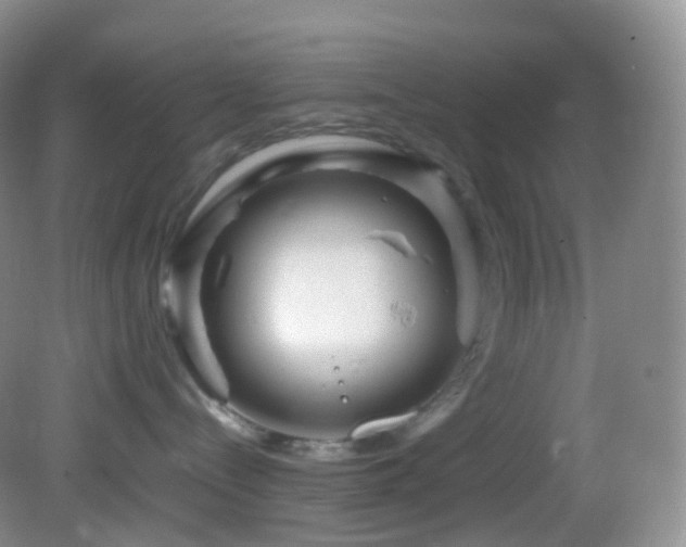 X0000083000288200702011503