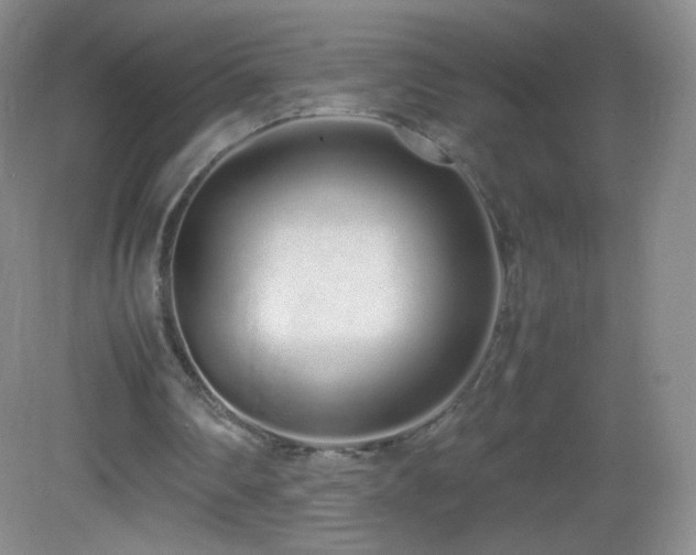 X0000083000290200702011502