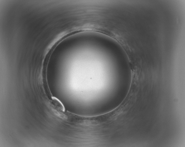 X0000083000292200702011502