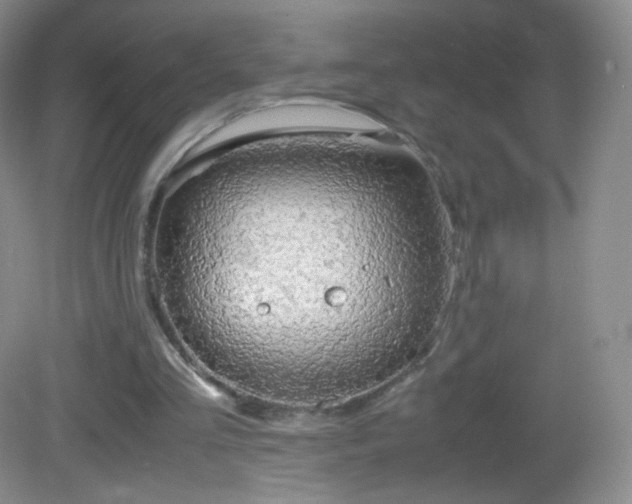 X0000083000293200702011502
