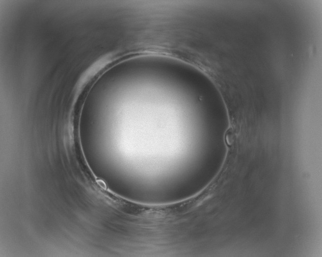 X0000083000294200702011502