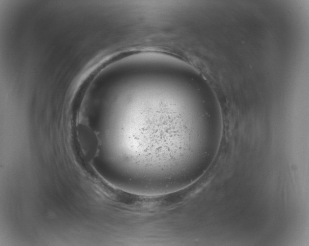 X0000083000295200702011502