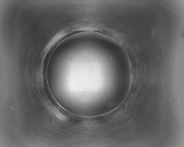 X0000083000296200702011502