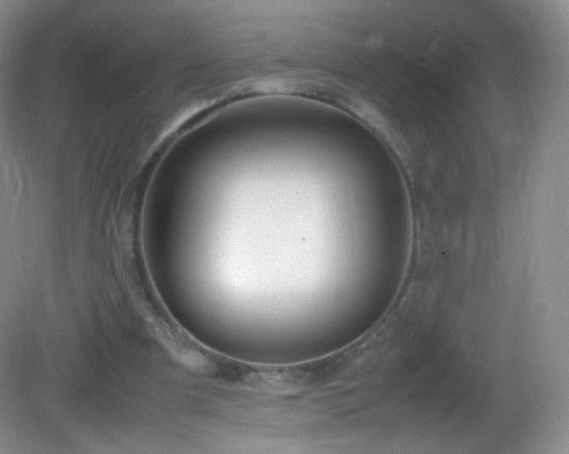 X0000083000297200702011502