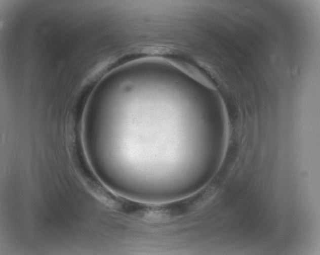 X0000083000303200702011502