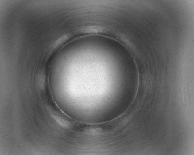 X0000083000304200702011502