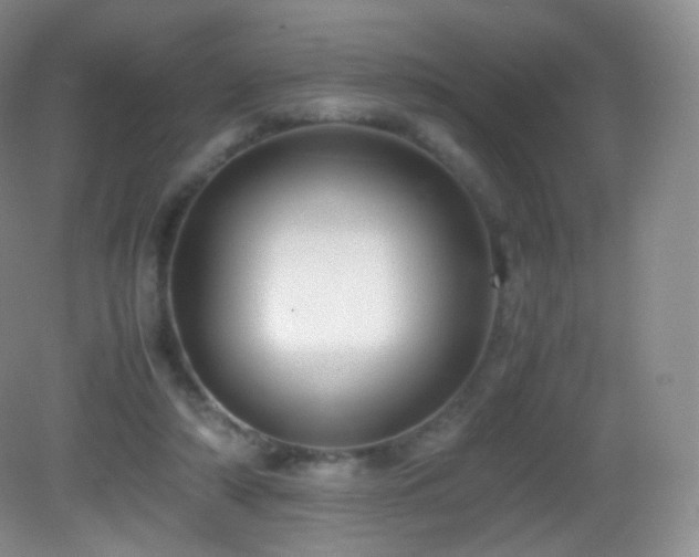 X0000083000306200702011502