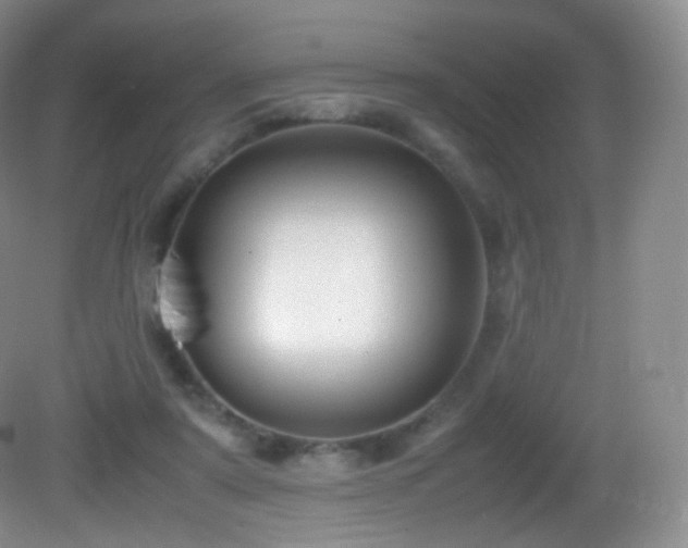X0000083000307200702011501