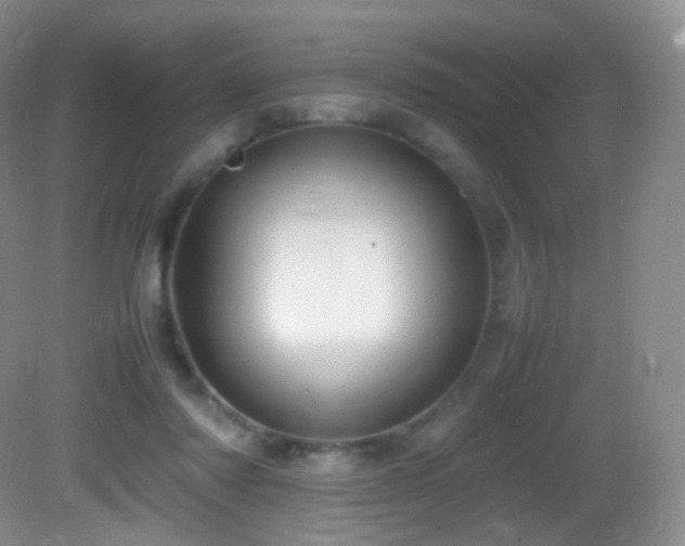 X0000083000310200702011501
