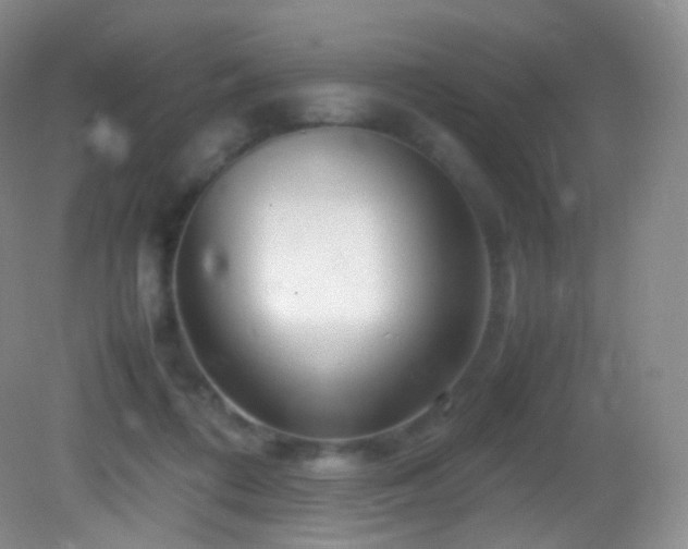 X0000083000312200702011501