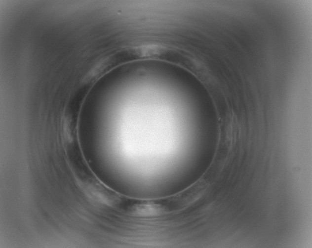 X0000083000316200702011501