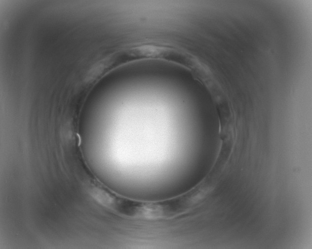 X0000083000317200702011501