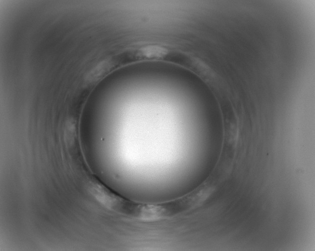 X0000083000321200702011501