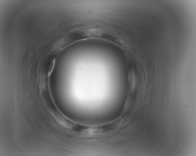 X0000083000323200702011501
