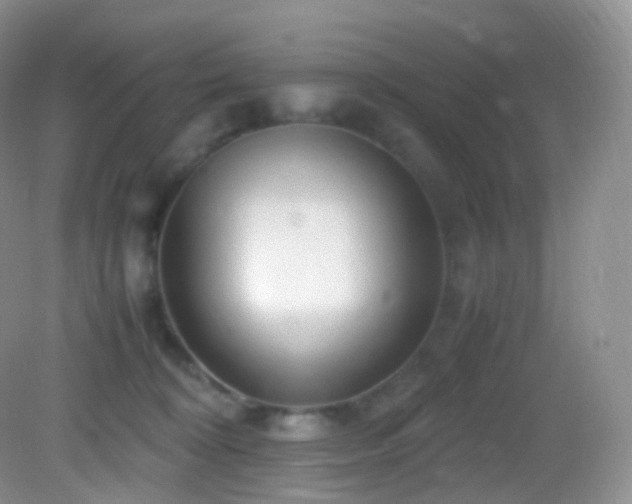 X0000083000324200702011501