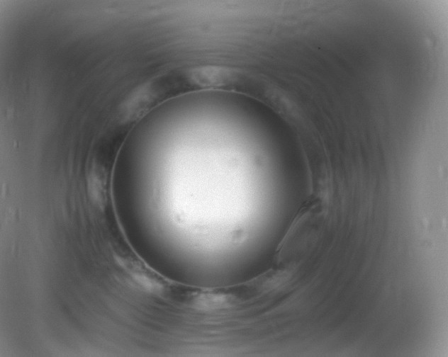 X0000083000332200702011501