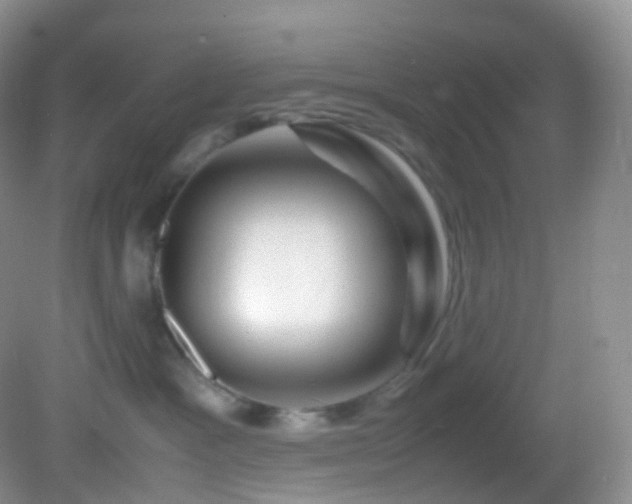 X0000083000333200702011501