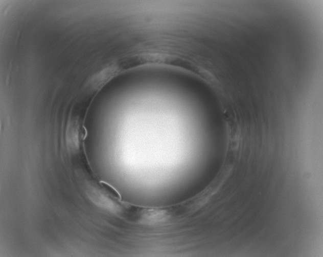 X0000083000334200702011501