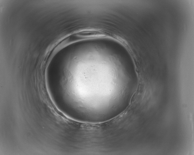 X0000083000337200702011500