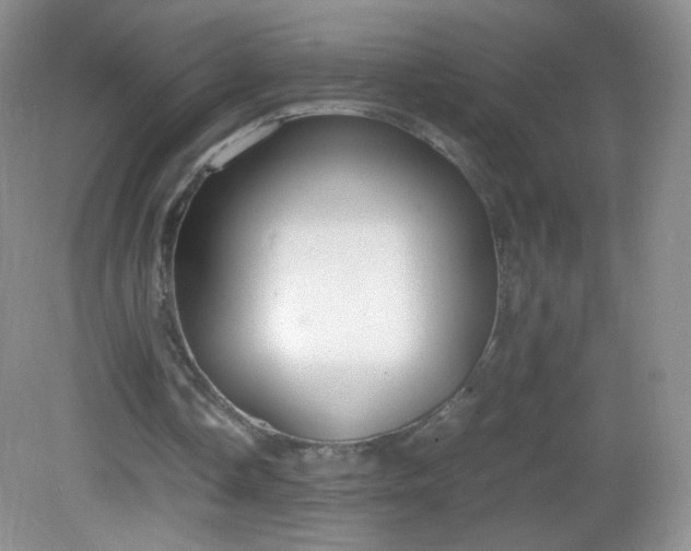 X0000083000338200702011500
