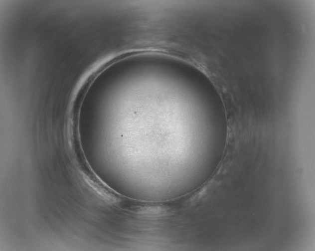 X0000083000342200702011500