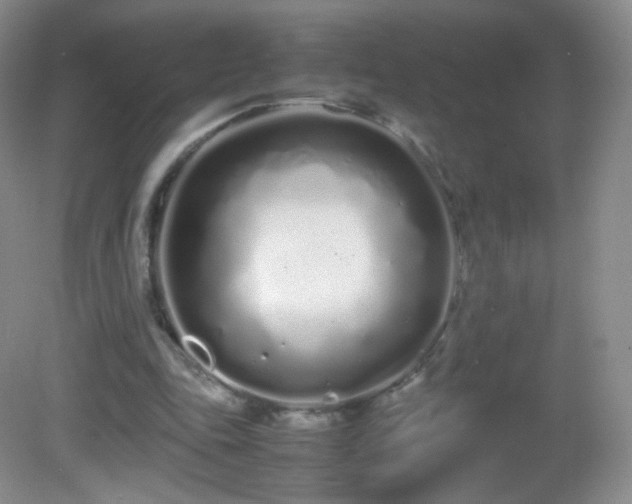 X0000083000343200702011500