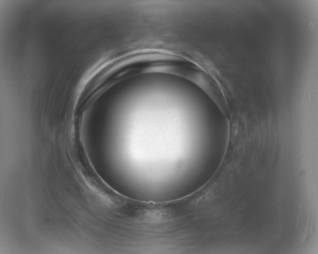 X0000083000344200702011500