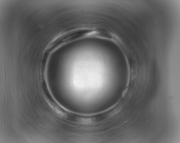 X0000083000349200702011500