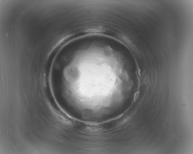 X0000083000351200702011500
