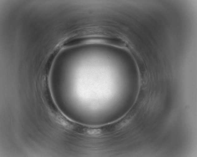 X0000083000355200702011501