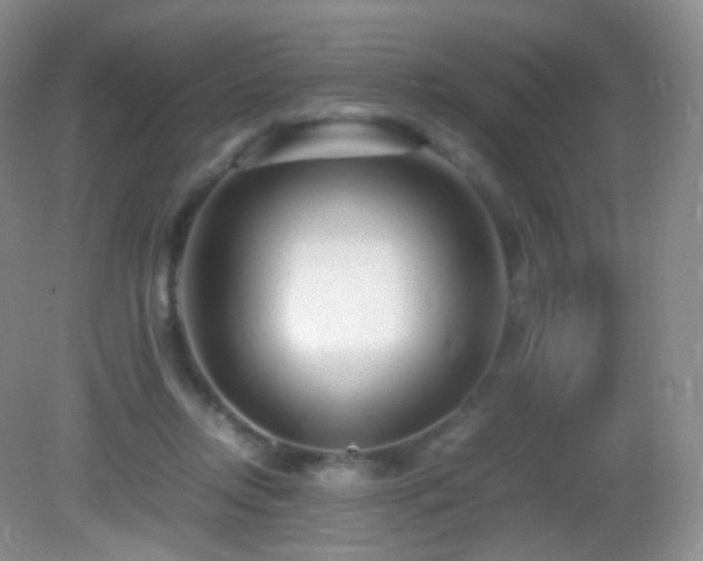 X0000083000358200702011501