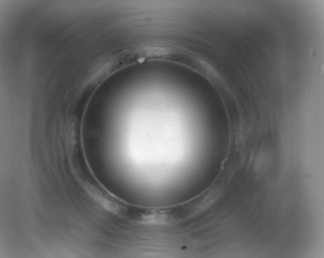 X0000083000362200702011501