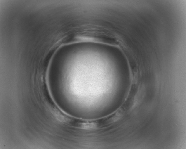 X0000083000363200702011501
