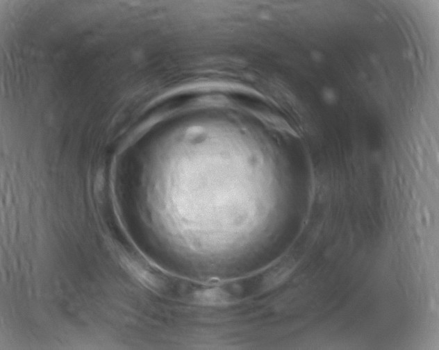 X0000083000365200702011501