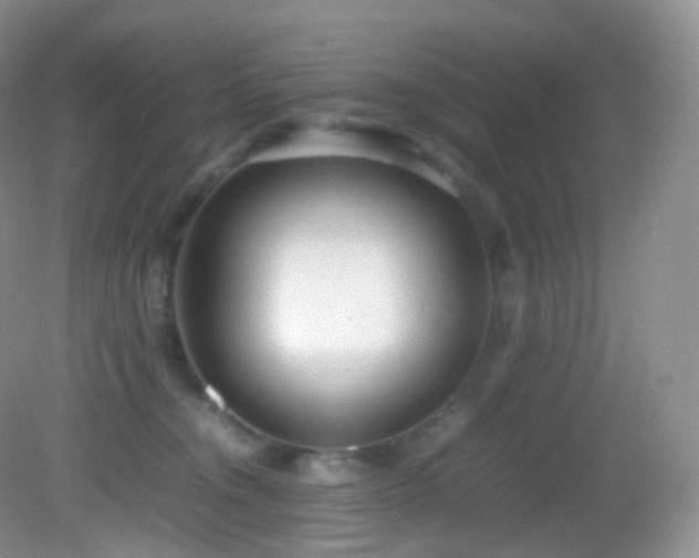 X0000083000372200702011501