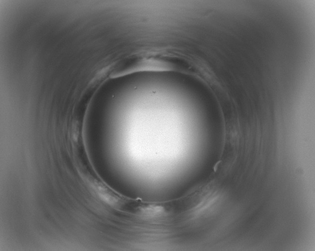 X0000083000374200702011501