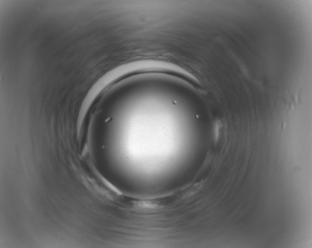 X0000083000380200702011501