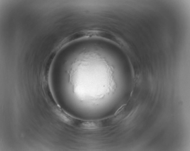 X0000083000381200702011501