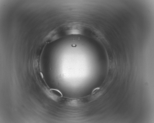 X0000083000382200702011501