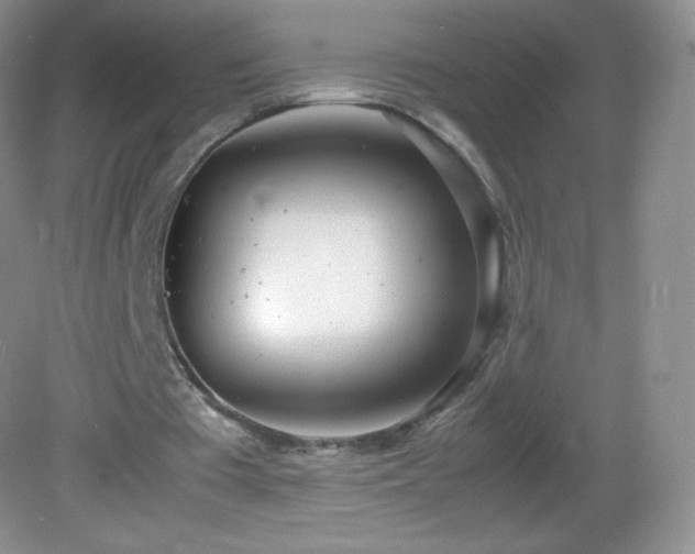 X0000083000385200702011500